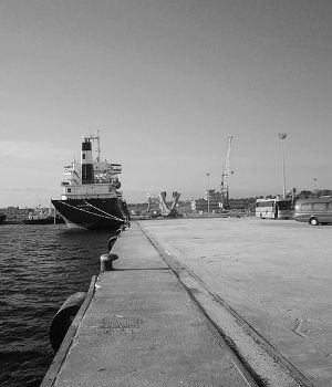 Assoporto e Confcommercio «Sul porto obiettivi comuni»